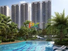 BZX Property