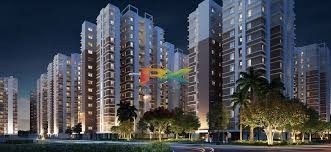 BZX Property