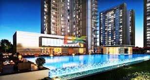 BZX Property