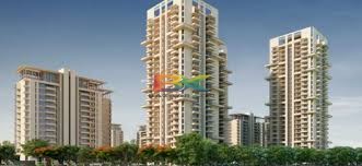 BZX Property