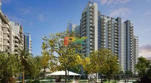 BZX Property