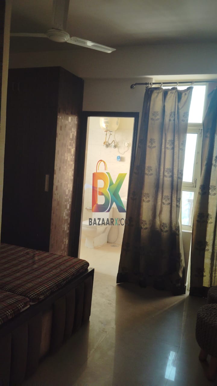 BZX Property