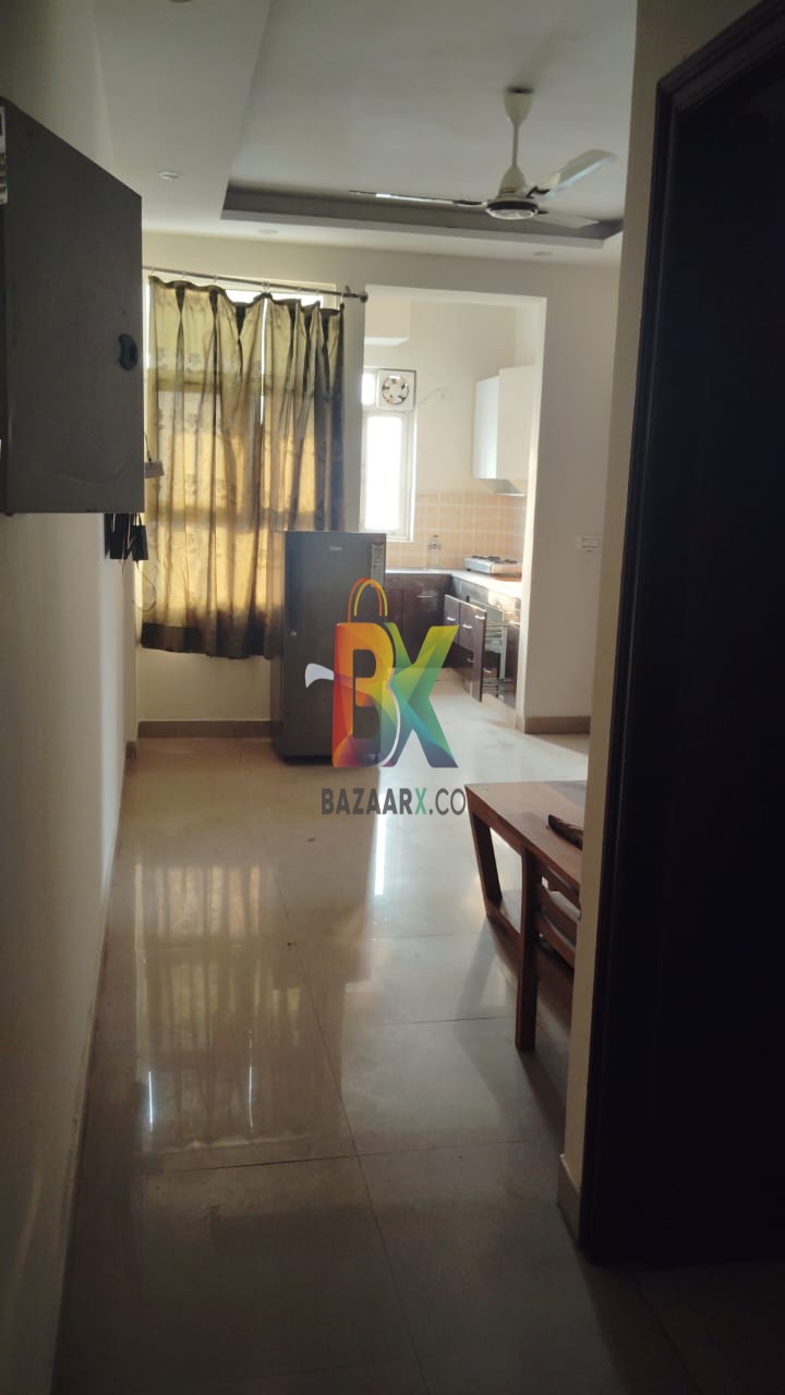 BZX Property