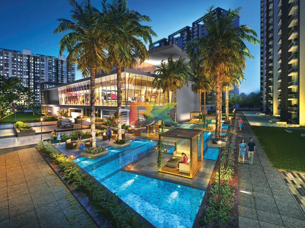 BZX Property