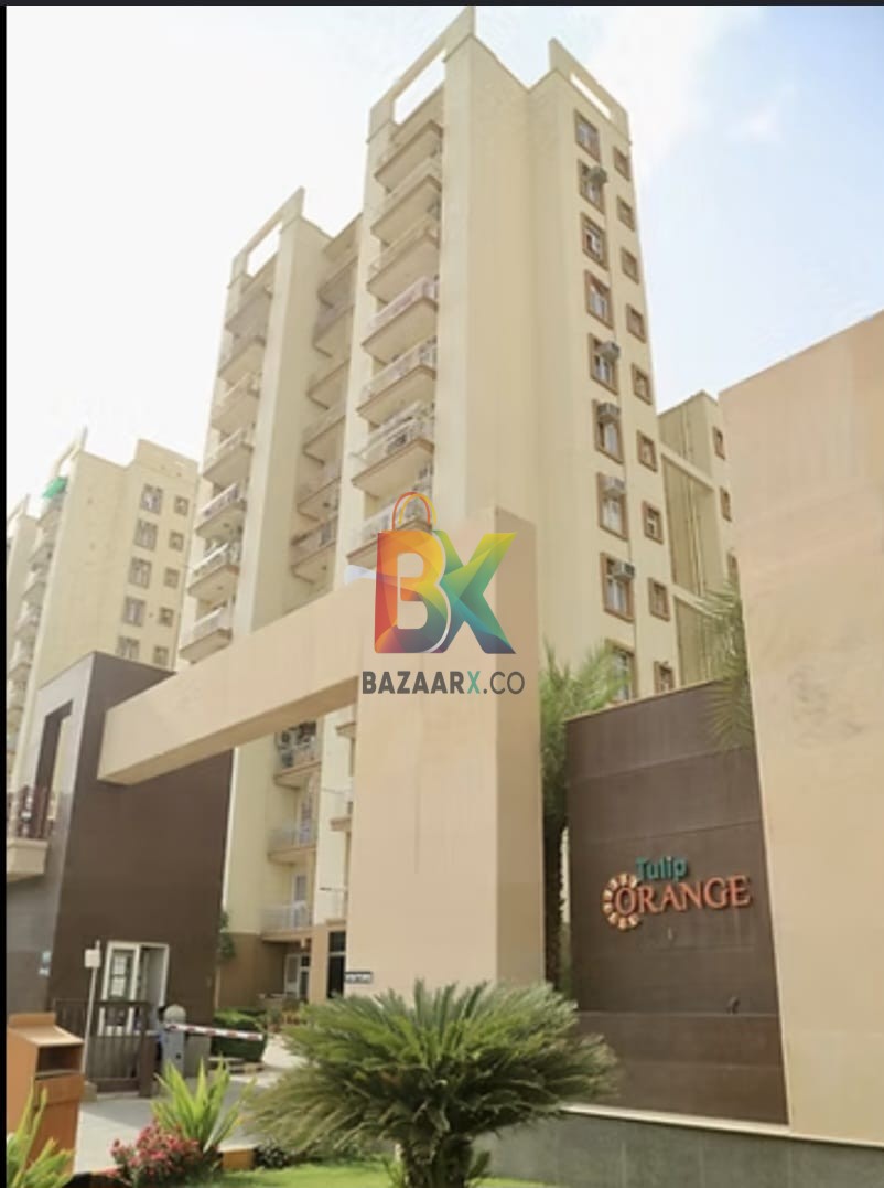 BZX Property