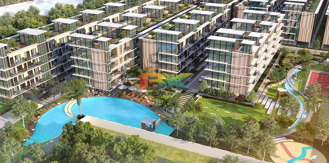 BZX Property