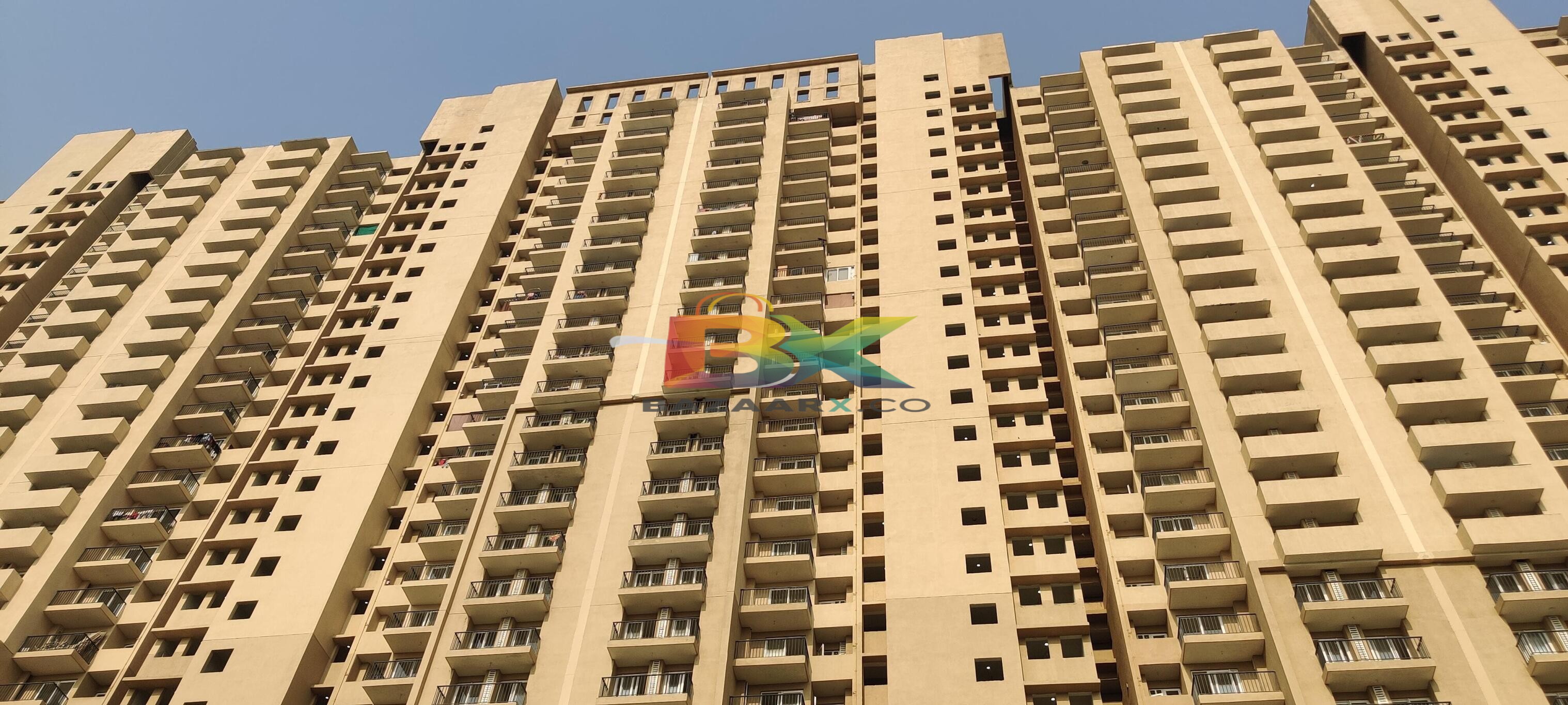 BZX Property