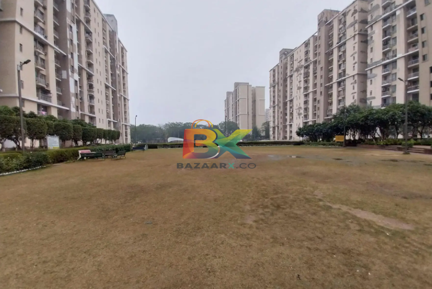 BZX Property