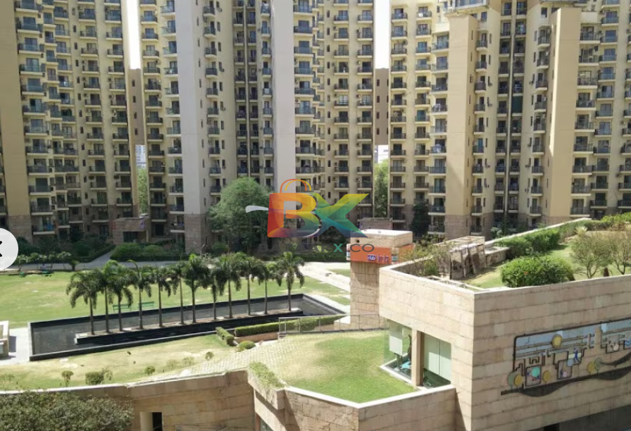 BZX Property