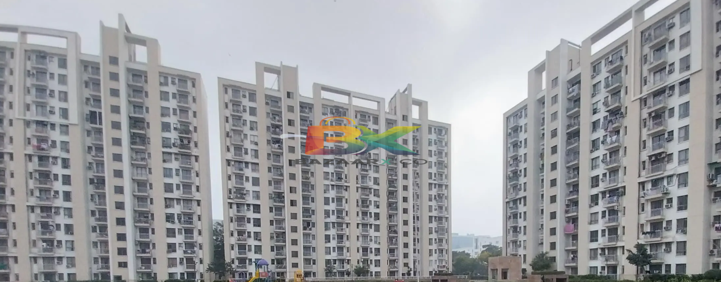 BZX Property