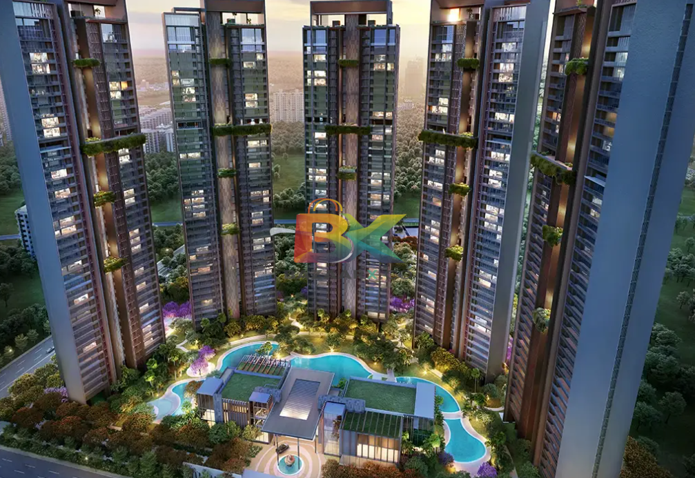 BZX Property