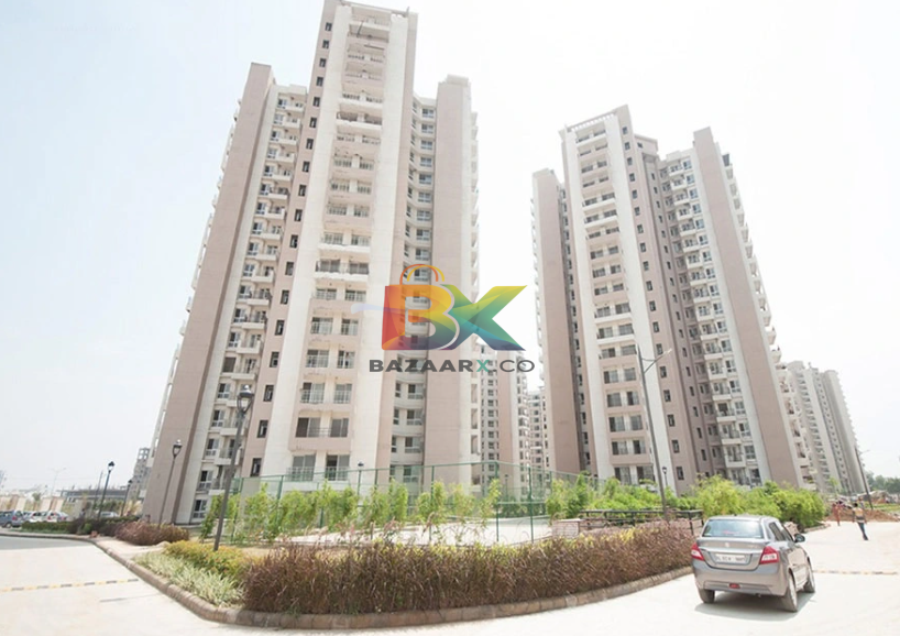 BZX Property