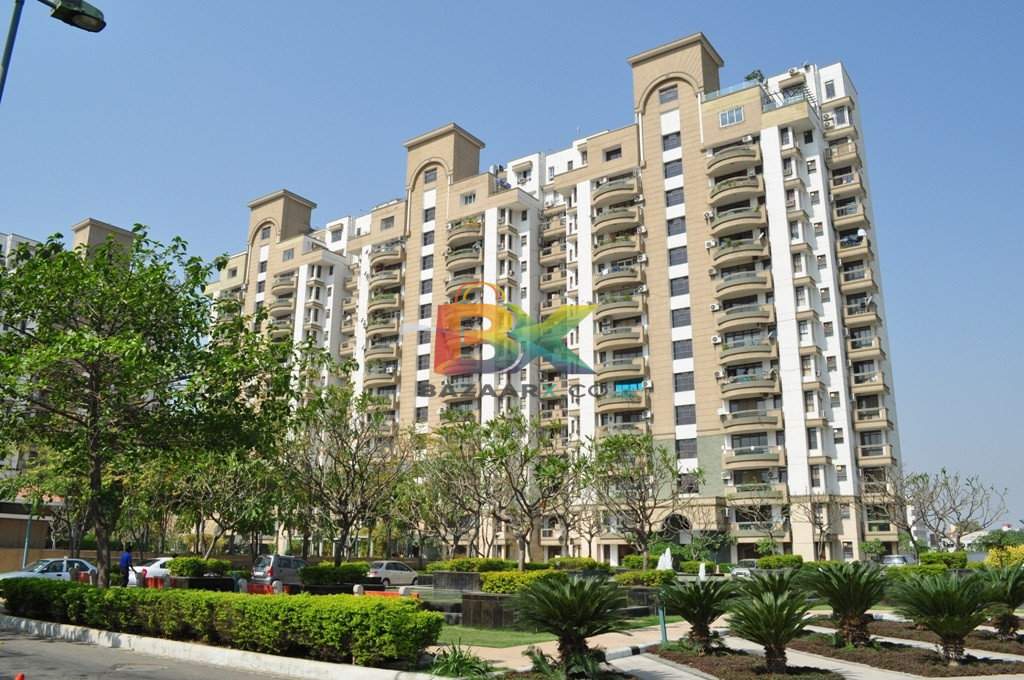 BZX Property
