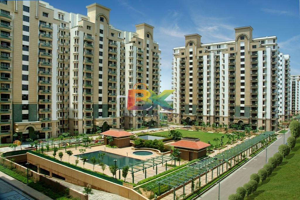 BZX Property