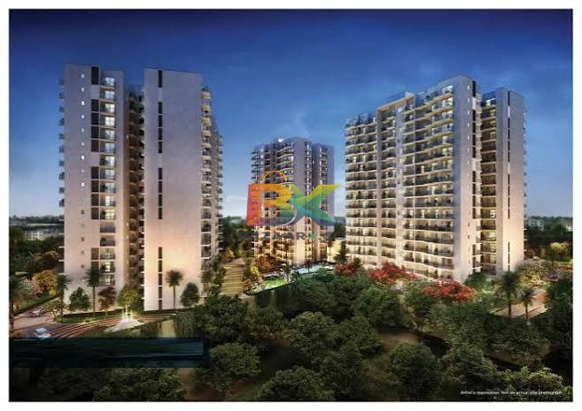BZX Property