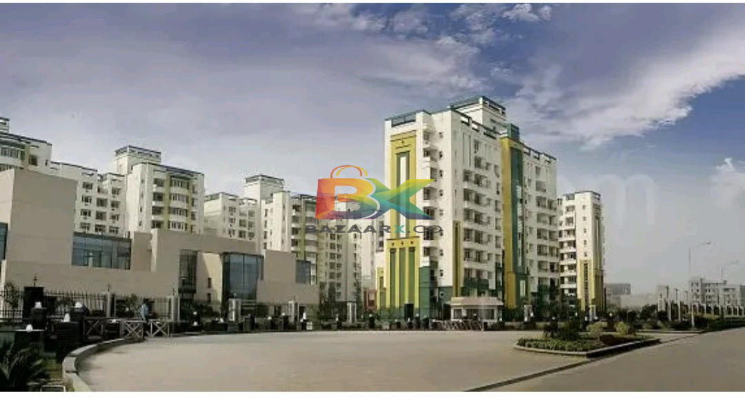 BZX Property