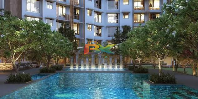 BZX Property