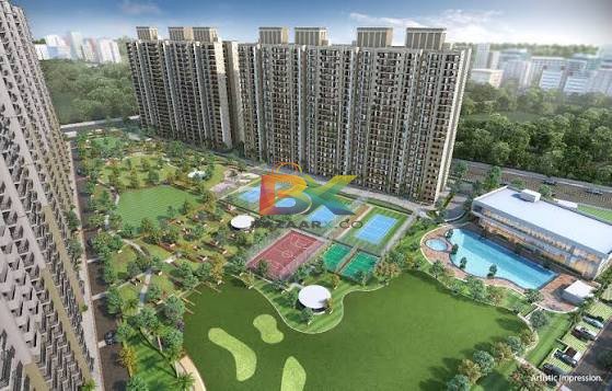 BZX Property