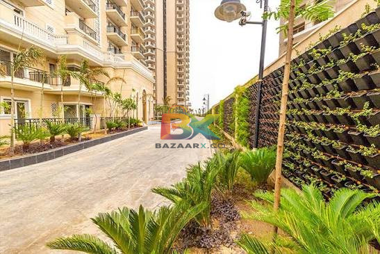 BZX Property