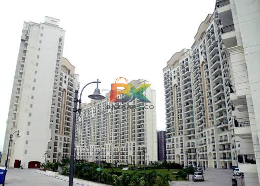 BZX Property