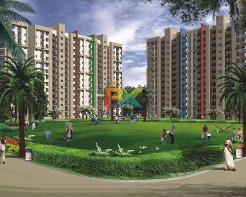 BZX Property