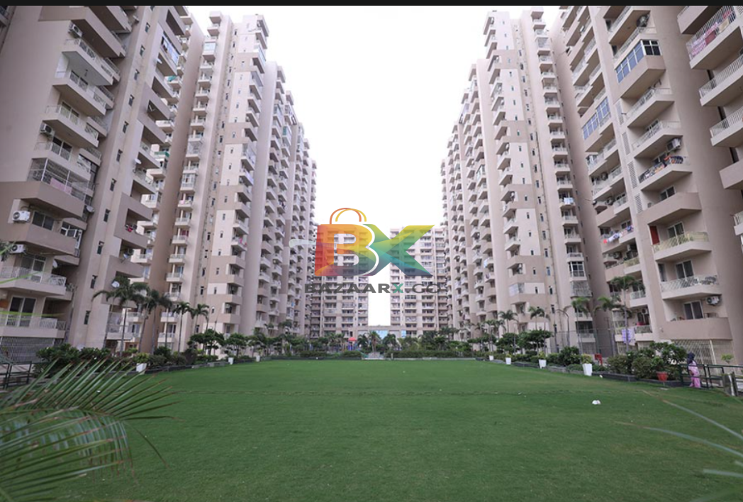 BZX Property