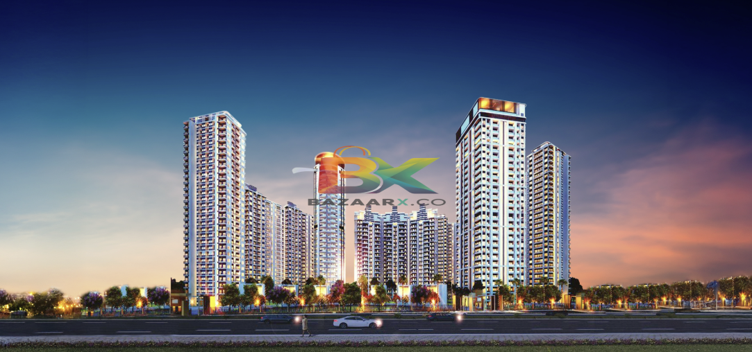 BZX Property