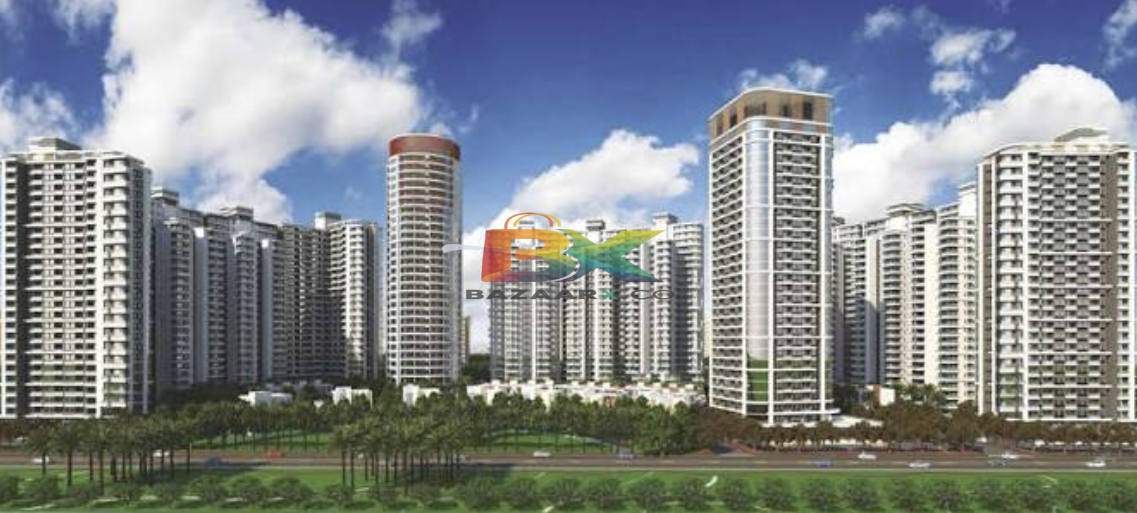BZX Property