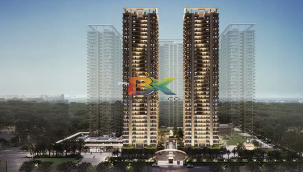 BZX Property