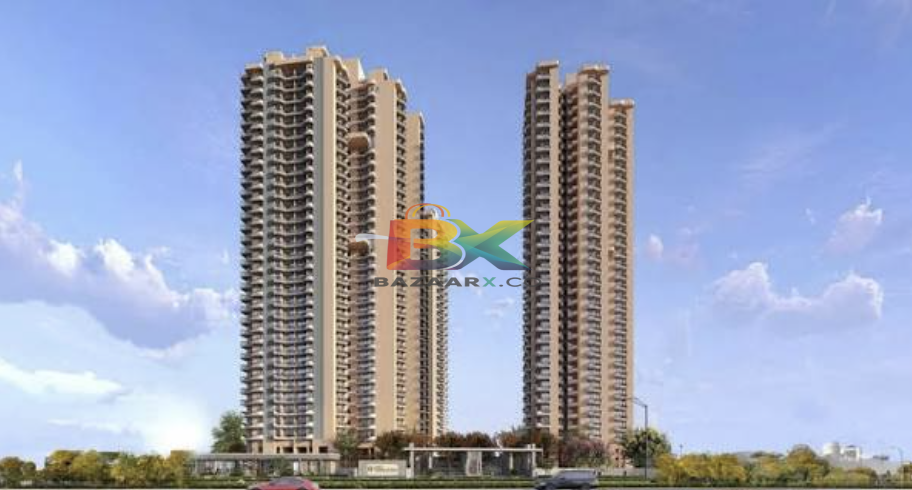 BZX Property