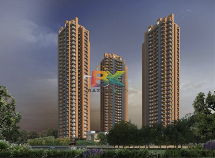BZX Property