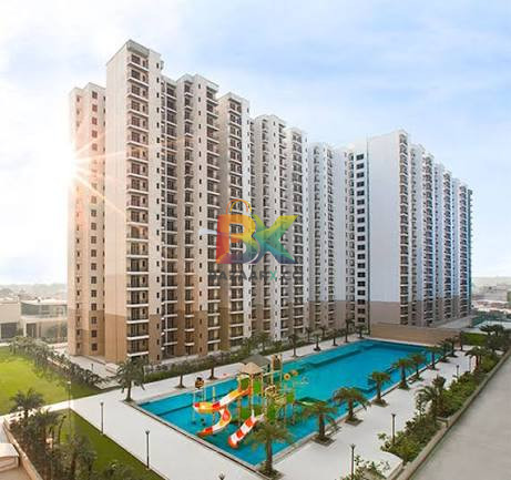 BZX Property