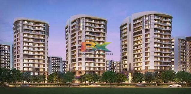 BZX Property