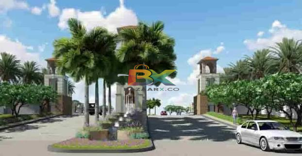 BZX Property