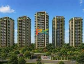 BZX Property