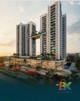 BZX Property
