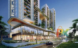 BZX Property