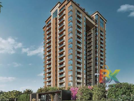BZX Property