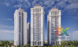 BZX Property