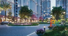 BZX Property
