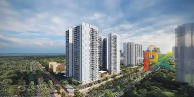 BZX Property