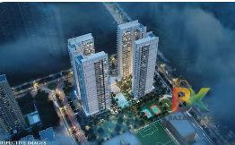 BZX Property