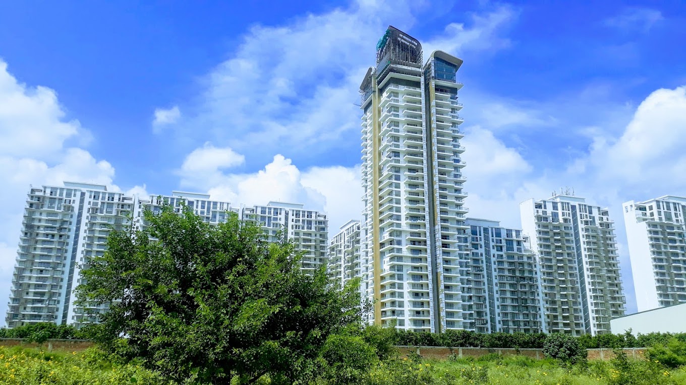 BZX Property
