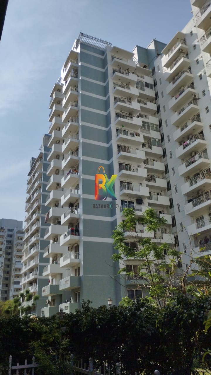 BZX Property