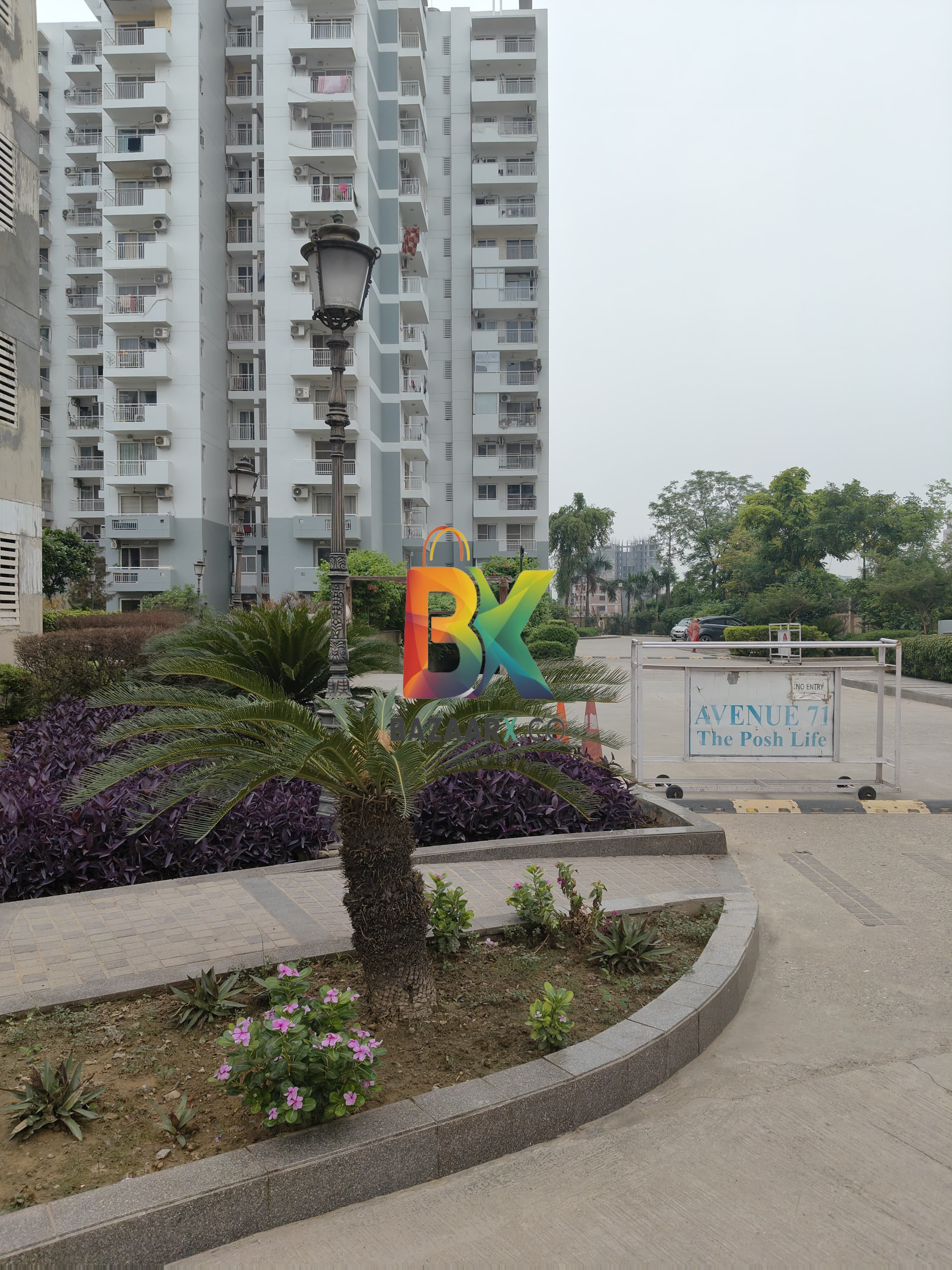 BZX Property