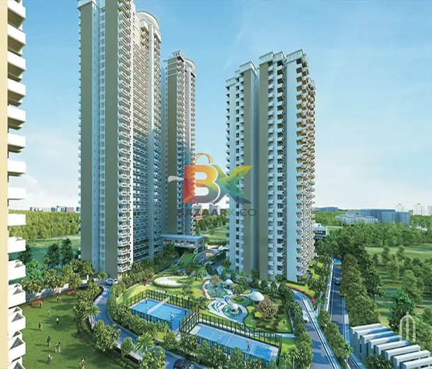 BZX Property