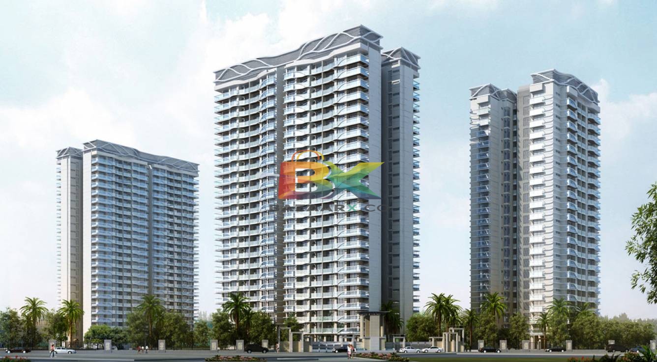 BZX Property
