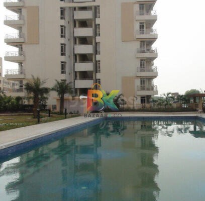 BZX Property
