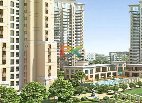 BZX Property