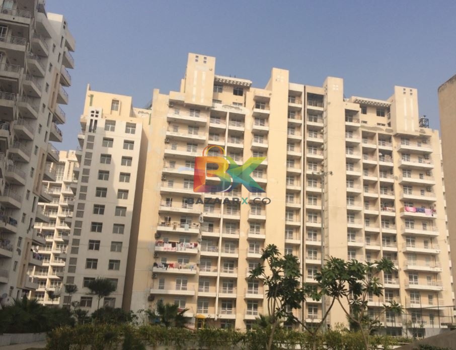 BZX Property